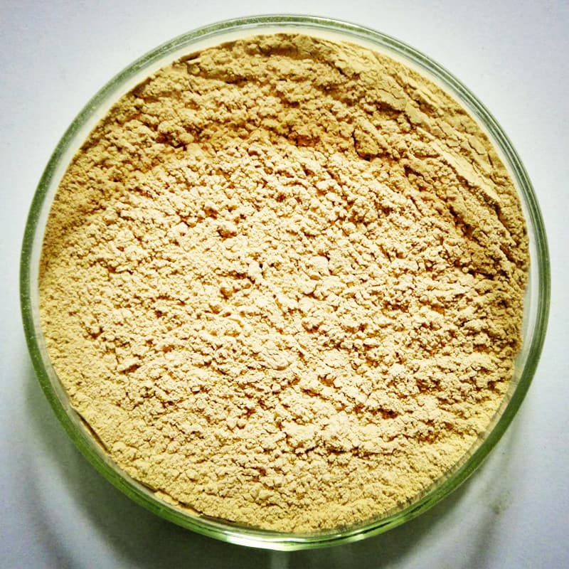 kavalactones kava kava extract